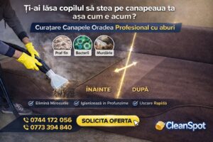Read more about the article Curățare profesională tapiterie în Oradea – canapele, saltele și detailing auto